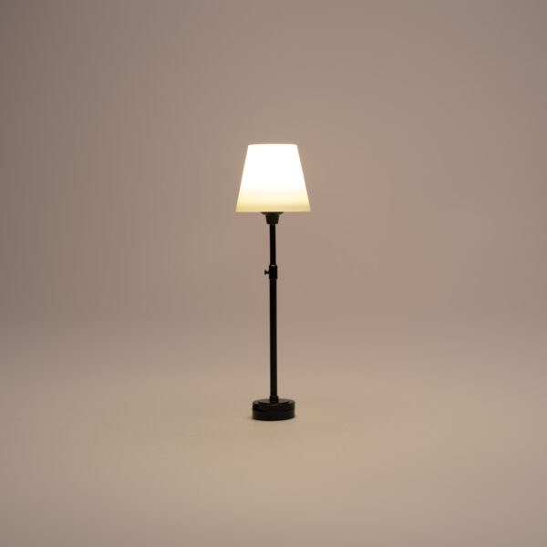 Slim Black Floor Lamp - Image 2